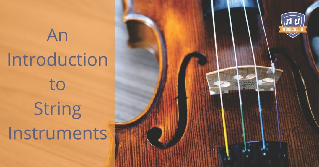 An Introduction to String Instruments - Musical U