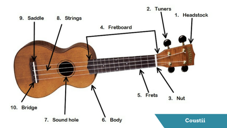 You Bought a Ukulele... Now What? - Musical U